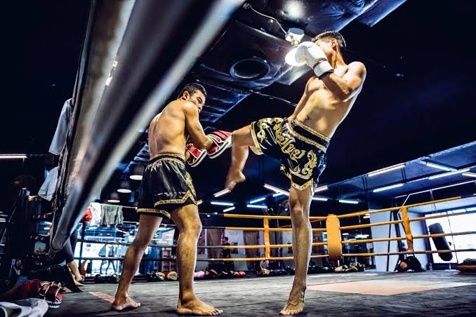 À La Une Kickboxing Il 44 Min 12 Min Programme D'entraînement Muay Thai Débutants Fighter 360 — Programme d'entraînement Muay Thai débutants : 8 s