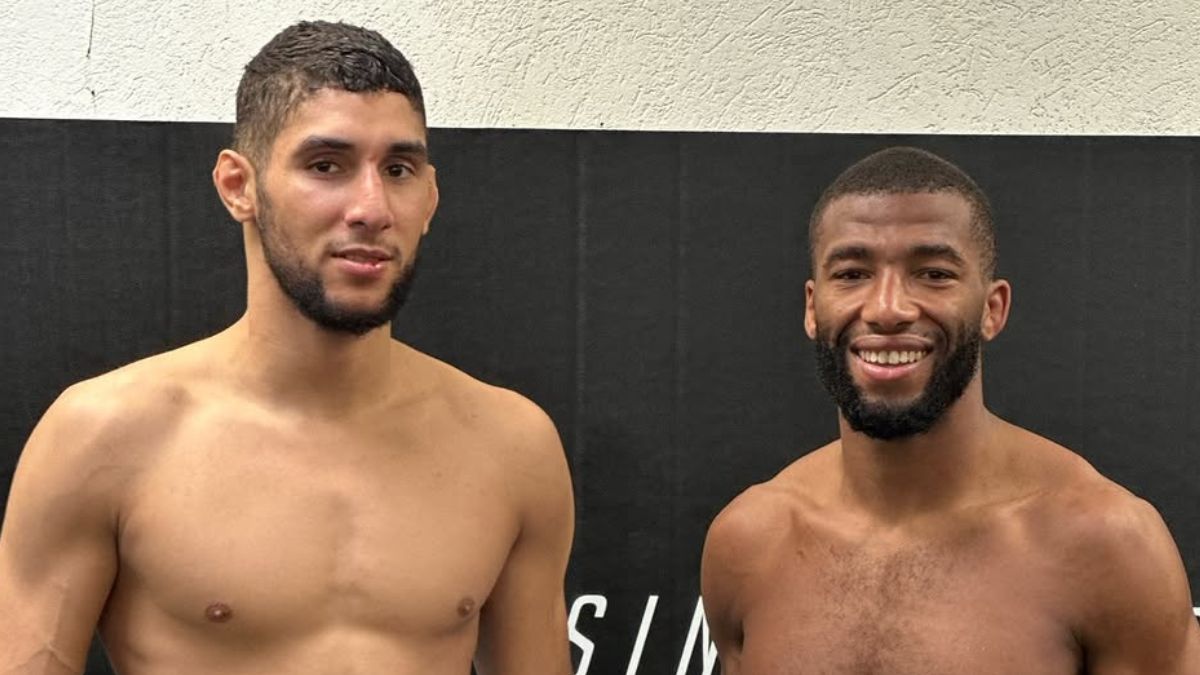 Fares Ziam Et Parnasse — Fares Ziam : le futur top 5 UFC ? L'analyse complè