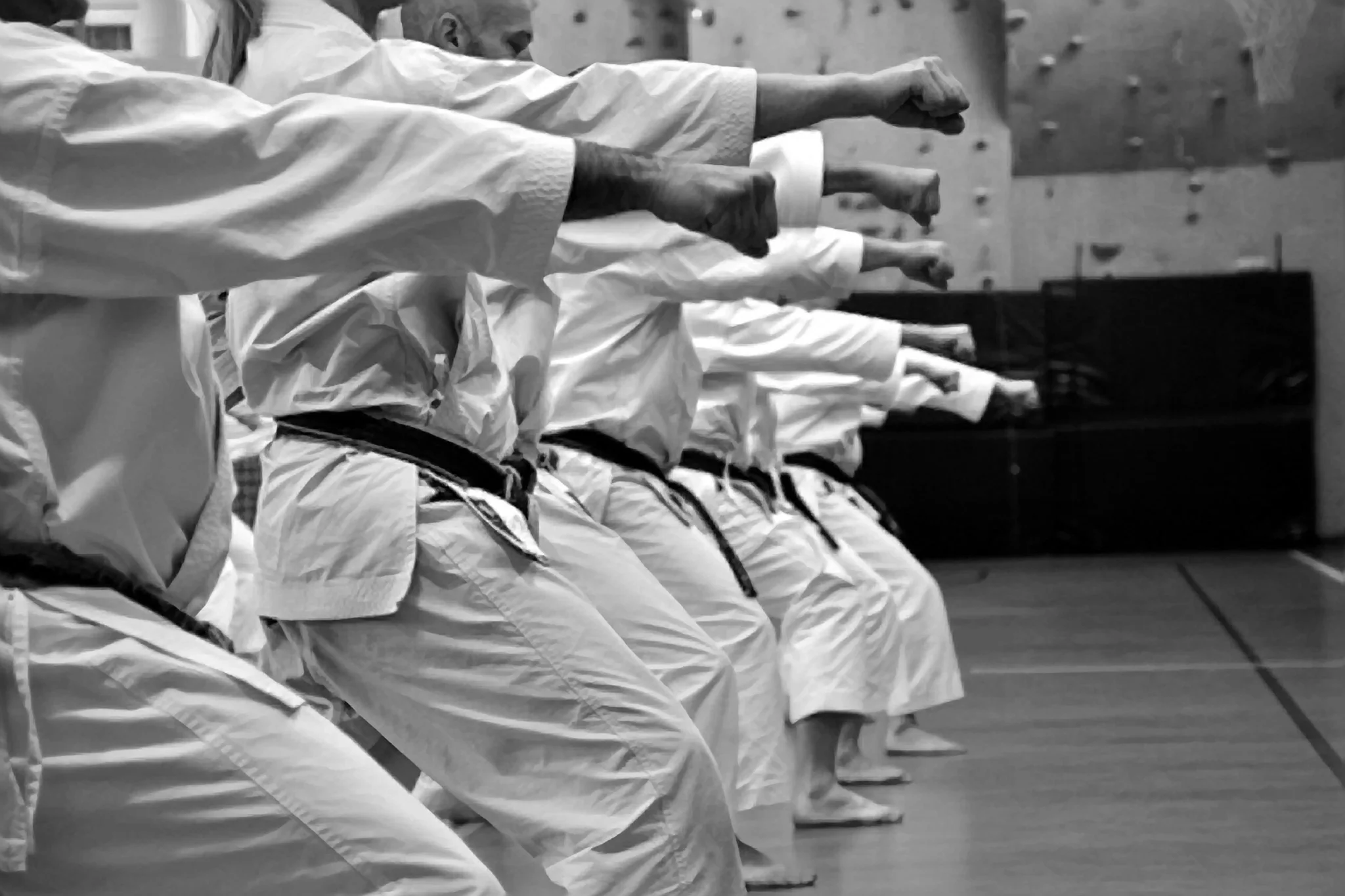 Karaté Shotokan vs Kyokushin : toutes les différences expliquées