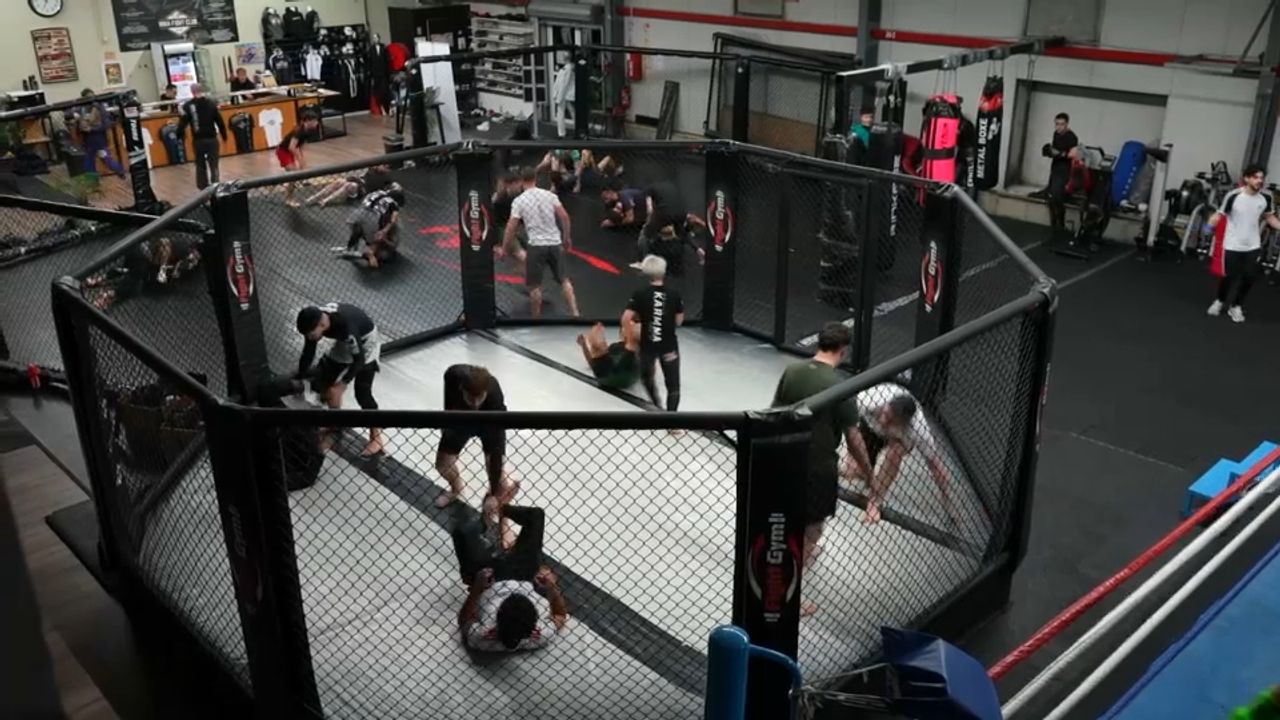 Octogone MMA Cholestérol Et Sport De Combat — Cholestérol et MMA : Quel impact pour les combatta
