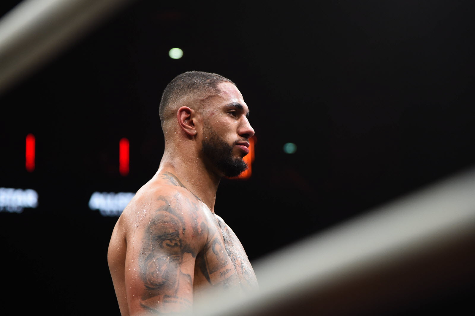 Yoka Gassiev Boxe — Tony Yoka : biographie complète, palmarès, carrièr
