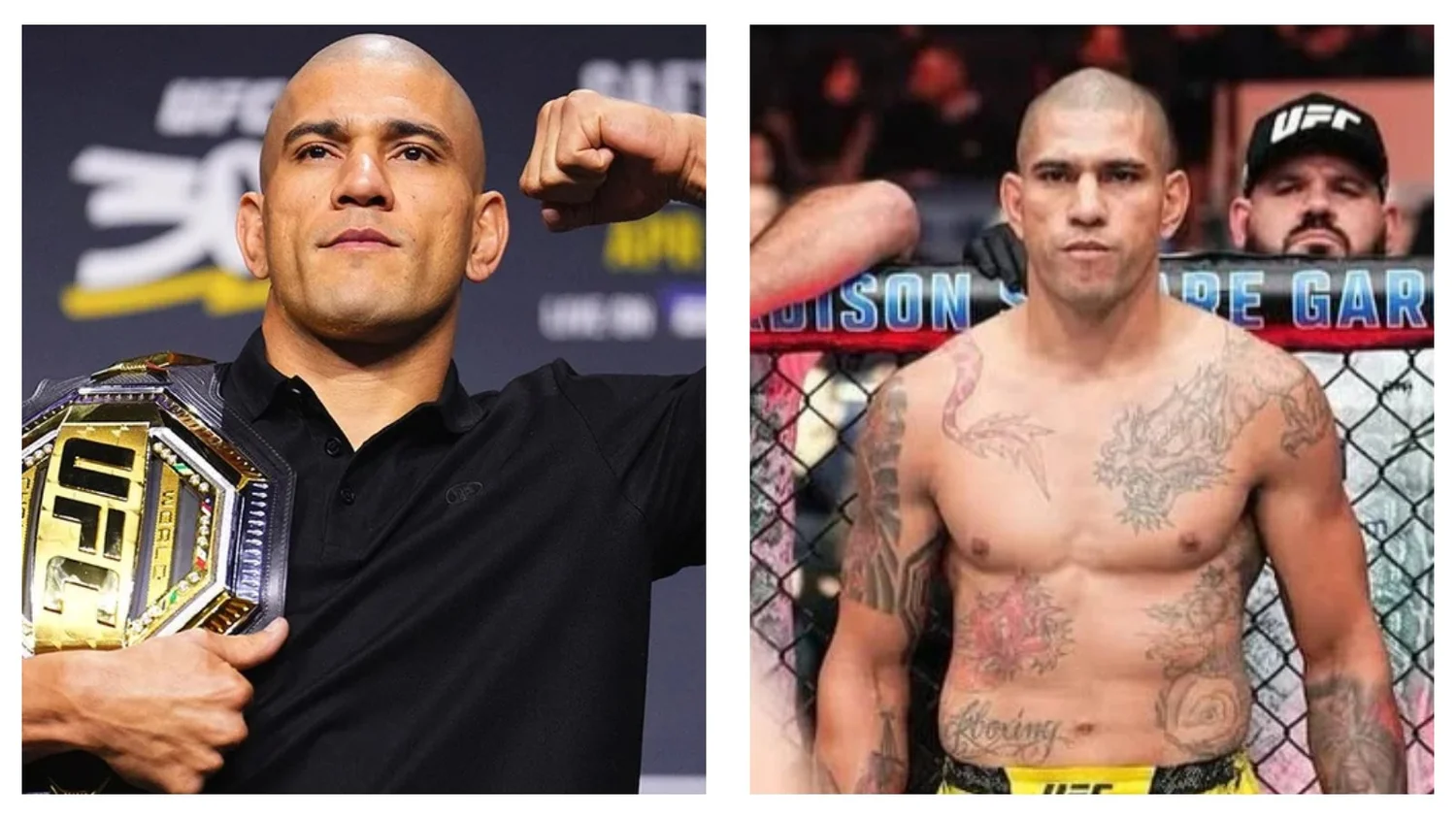 Alex Pereira champion UFC poids mi-lourds 2026, posture intimidante avant combat