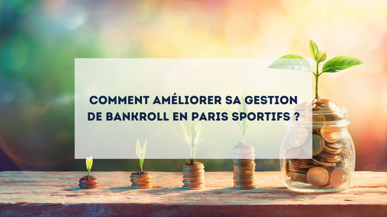 Bankroll management paris sportifs sports de combat gestion 2026 - pièces qui poussent comme des plantes