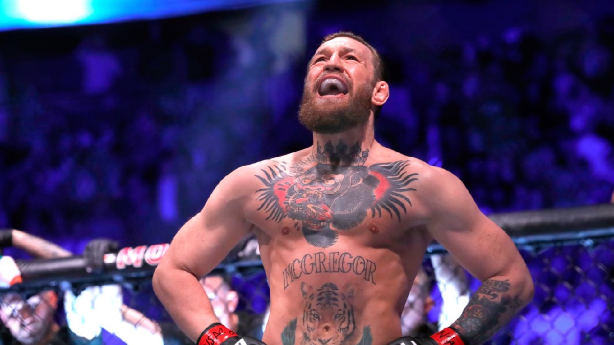 Conor McGregor dans l'octogone UFC