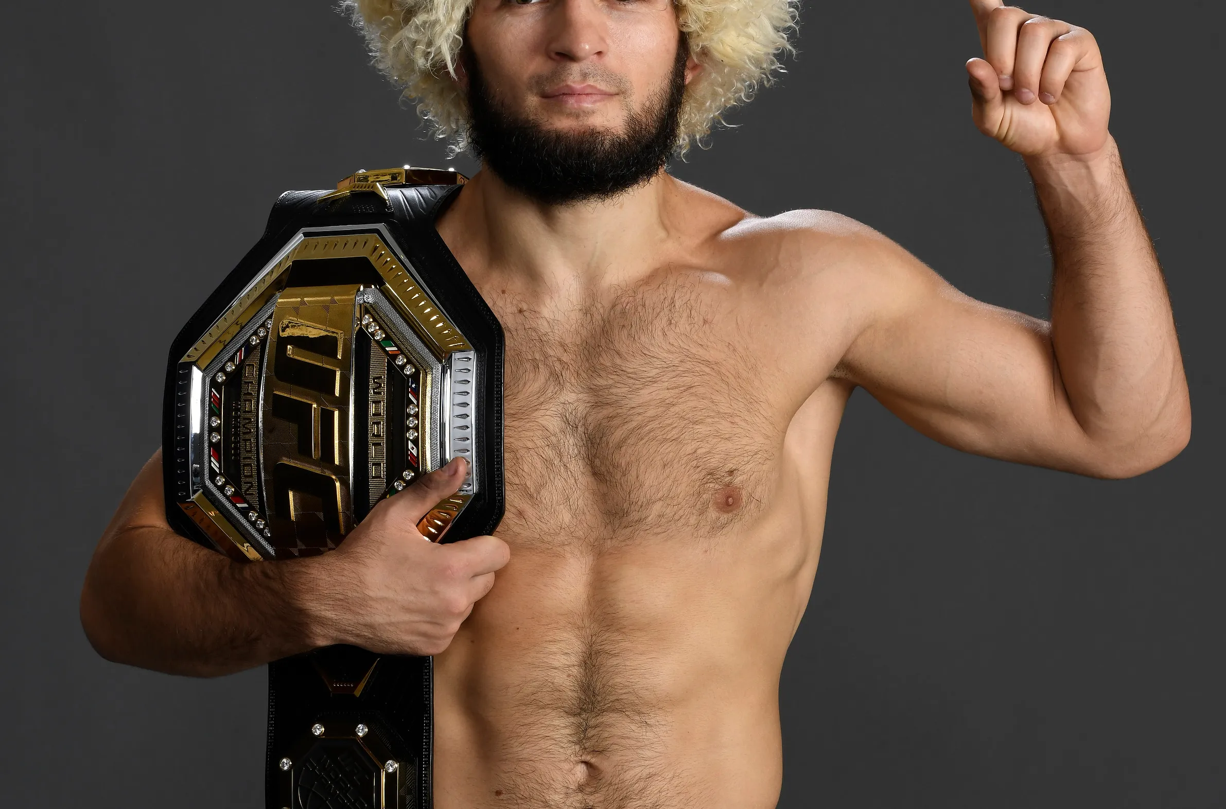 Khabib Nurmagomedov infographie stats carrière UFC 29-0