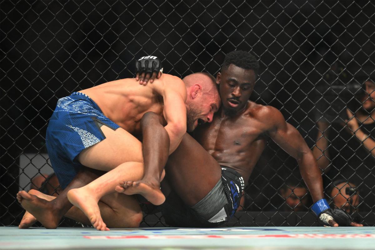 Gomis Sabatini grappling combat UFC 328